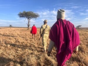 Kenya Mara, Maasai, Walking