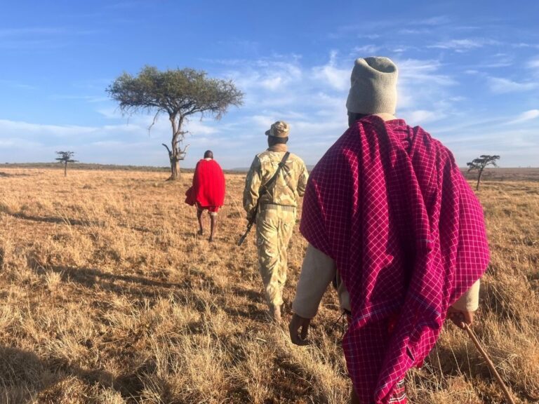Kenya Mara, Maasai, Walking