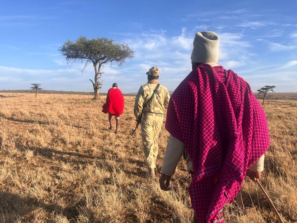 Kenya Mara, Maasai, Walking