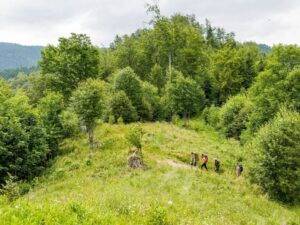 Trekking, Hiking, Făgăraș Mountains