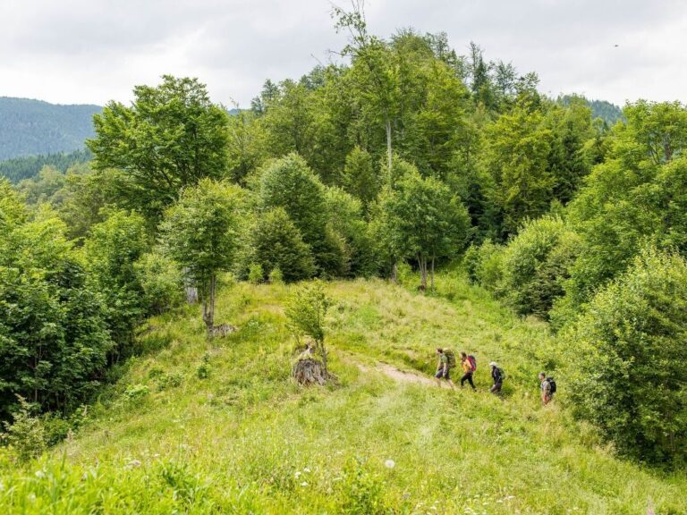 Trekking, Hiking, Făgăraș Mountains